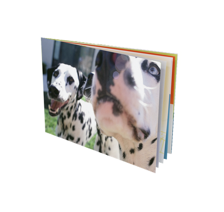 Softcover Compact 15x10