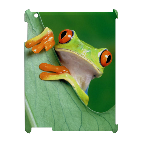 iPad 3, 4 - coque 3D