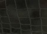 Croco Noir