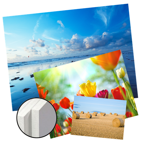 Foto Op Forex Grobet Foto - 