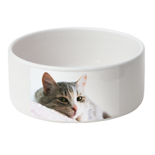 Gamelles pour chat Gamelles pour chat