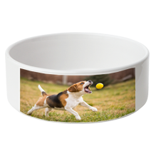 Gamelles pour chien Gamelles pour chien